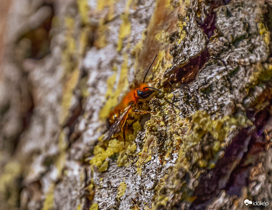 Egy kis pihenés nem árthat