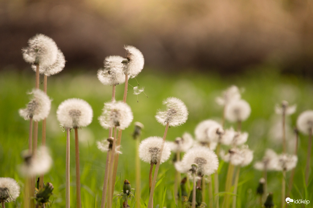 Az új nemzedék útnak indul