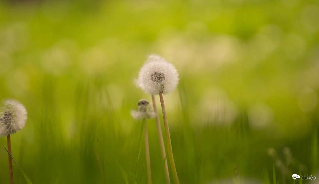 Az új nemzedék útnak indul