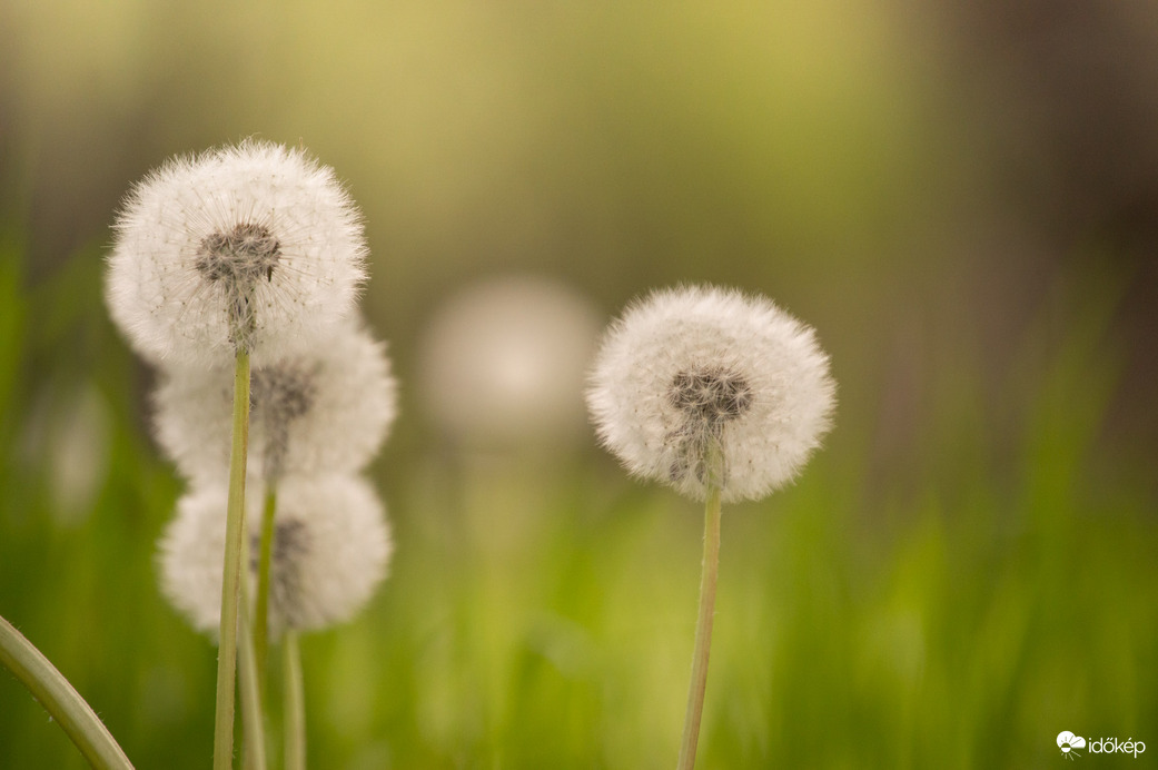 Az új nemzedék útnak indul