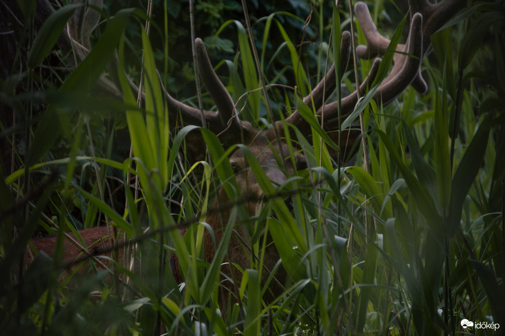 Nem akarok fotózkodni..hagyjál
