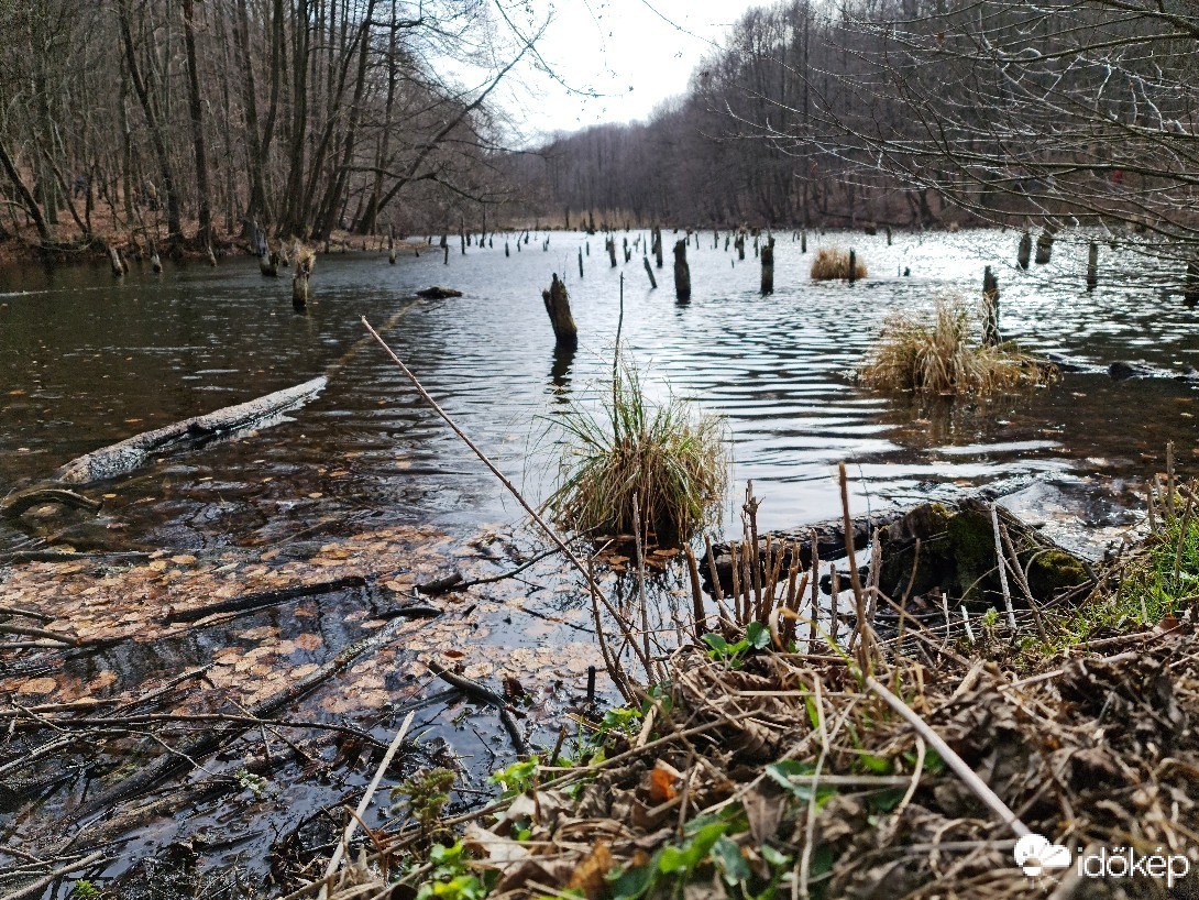 Kunszentmiklós