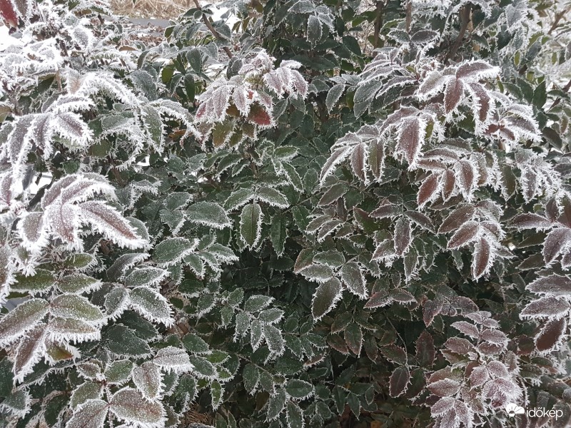 Az év első reggele