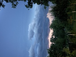 Vihar