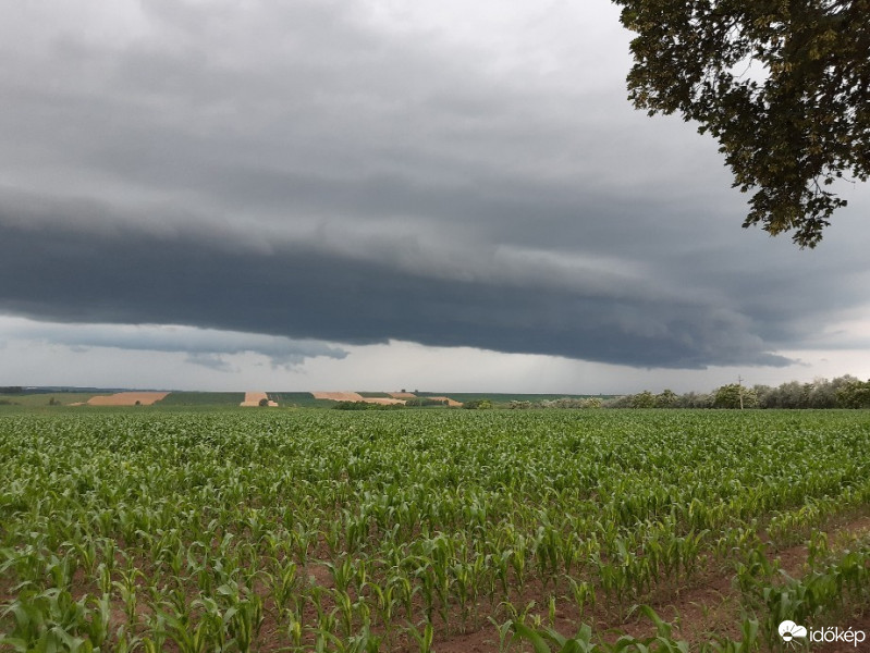 Észlelési fényképek