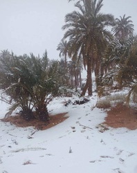 Havazott Algériában