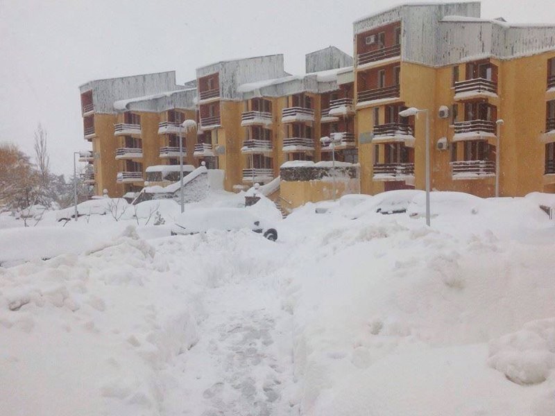 Havazott Algériában 1