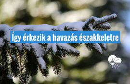 gerimet fotója
