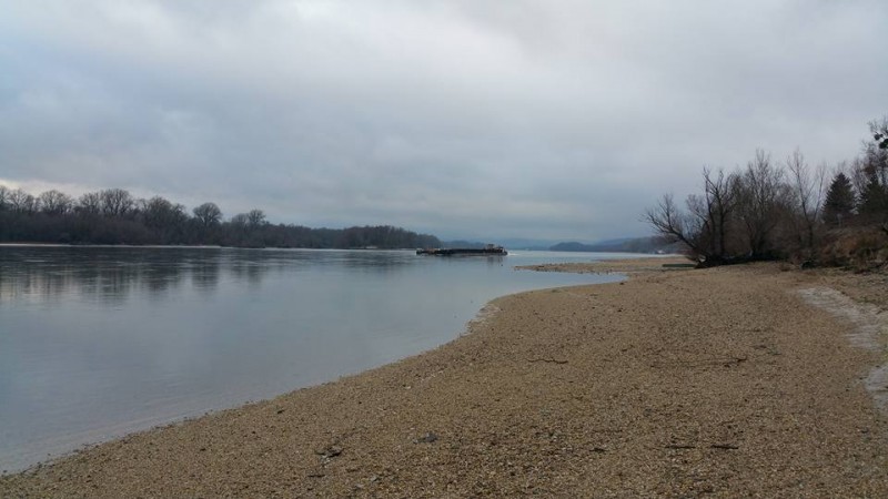 Alacsony vízállás a Dunán - Bartók Gábor képe