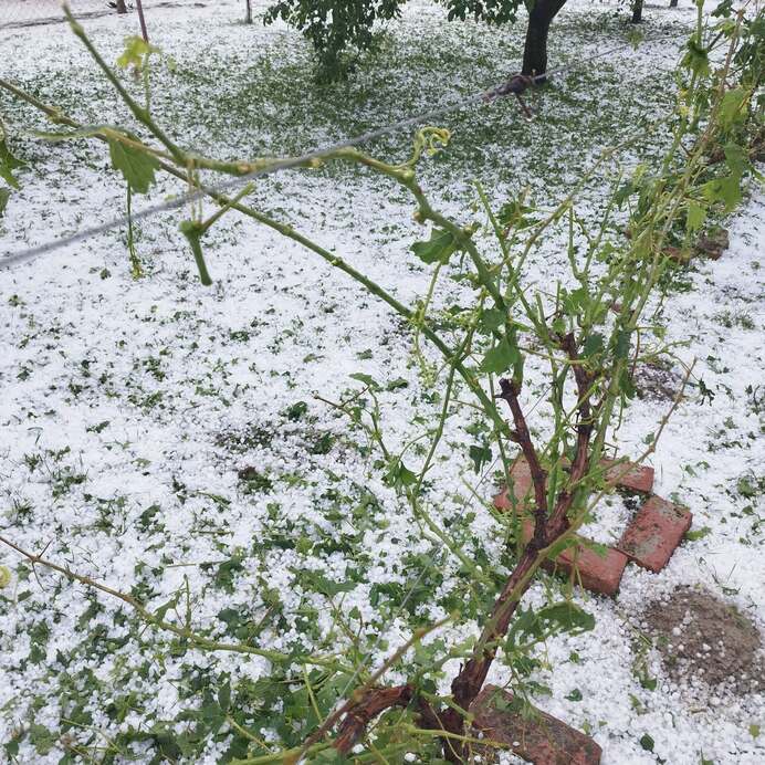 kapcsolódó tartalom