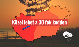 Hírek
