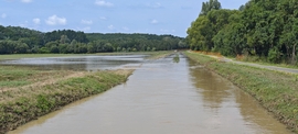 Kapos áradása