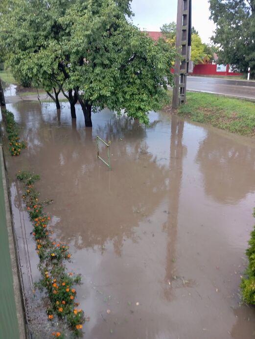 illusztráció