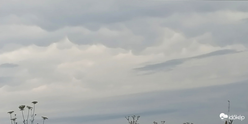 Mammatus