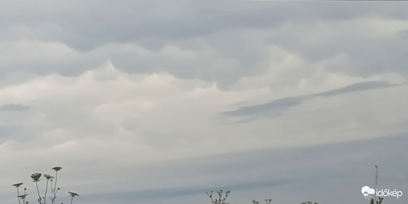 Mammatus