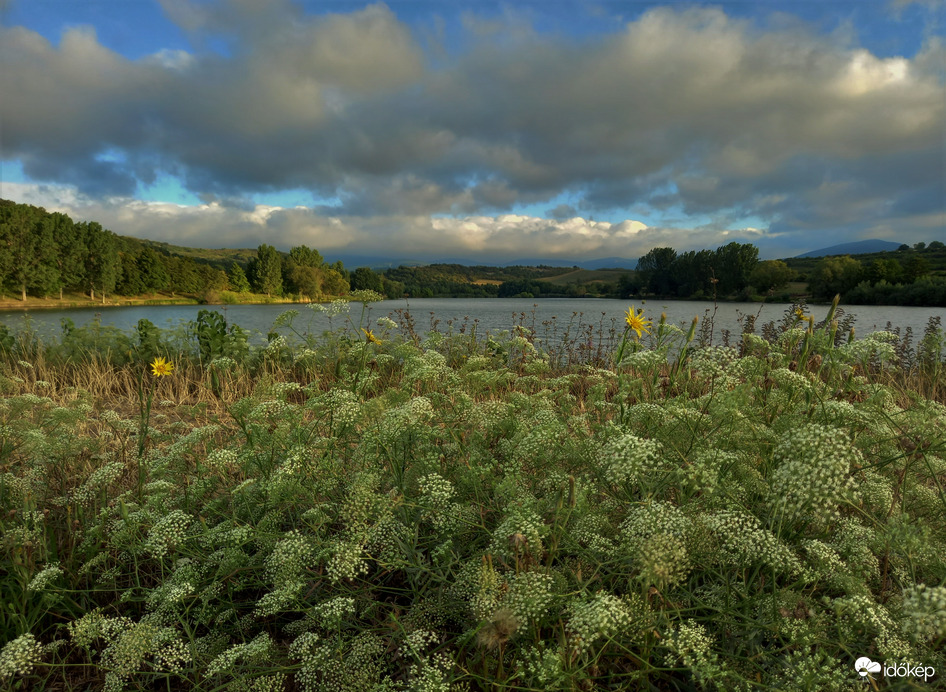 Reggeli tópart virágokkal, felhőkkel