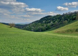 Dimbes-dombos tavaszi táj