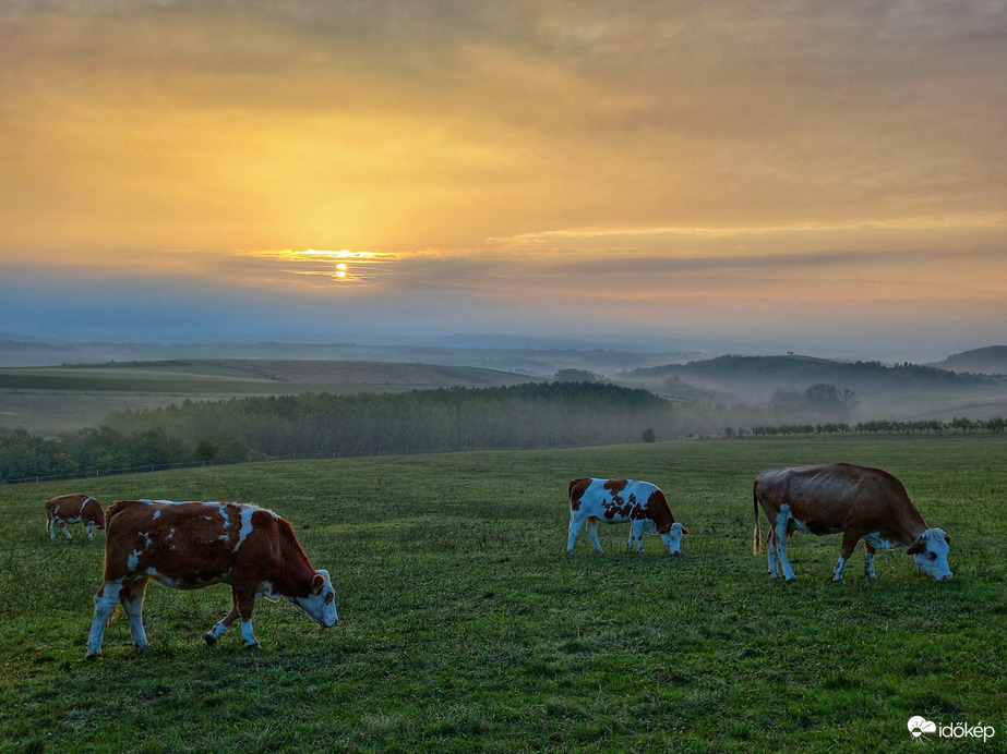 Noszvaj
