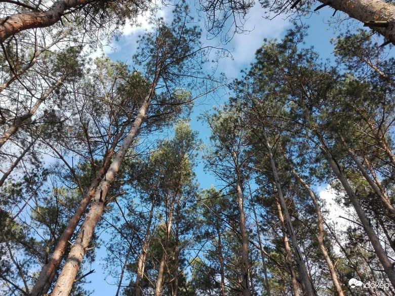 Végre kék az ég!  :)