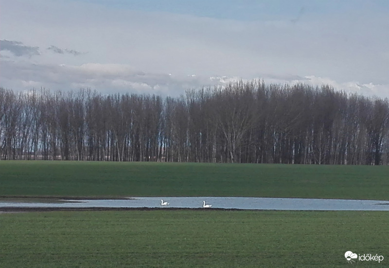 Mire jó a belvíz? :)