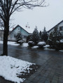 Szabadka