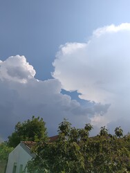 Szabadka