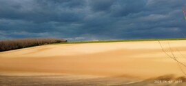 Balatonendréd