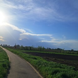 Ököritófülpös