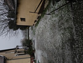Ladánybene
