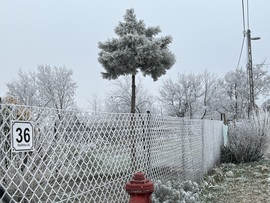 Nől a dér, álom jár