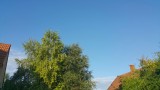 Martfű