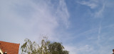 Martfű