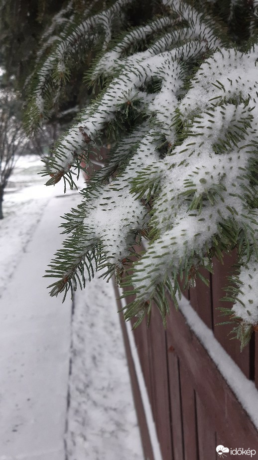 Jászalsószentgyörgy