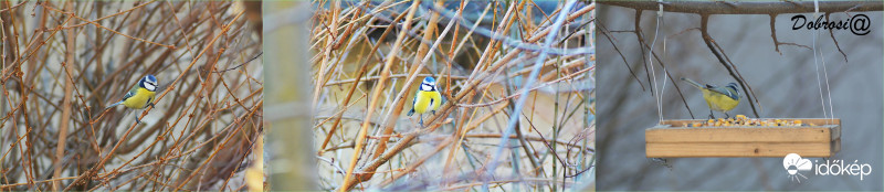 Jött,látott,evett :)