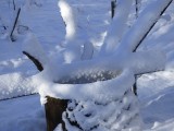 17cm hó van