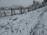 Sümeg 4-5cm hó