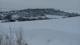 A szürkésfehér egyik árnyalata