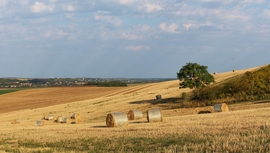 Tájkép
