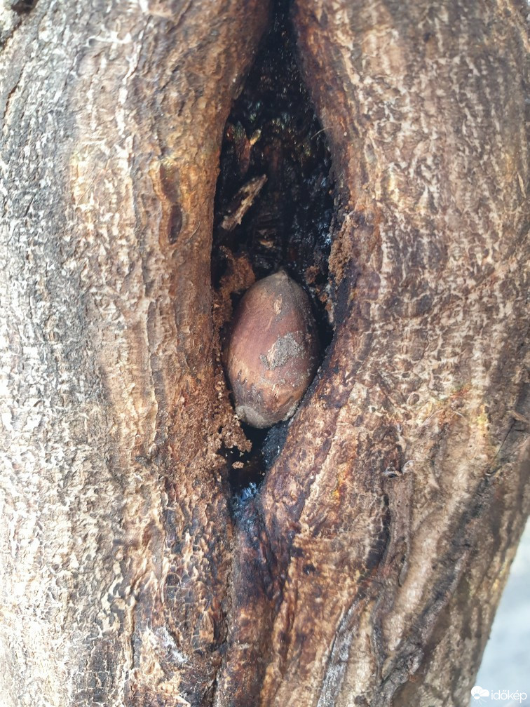 Budapest XIV.ker - Alsórákos