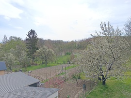 Csesznek