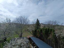 Csesznek