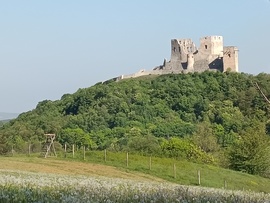 Csesznek
