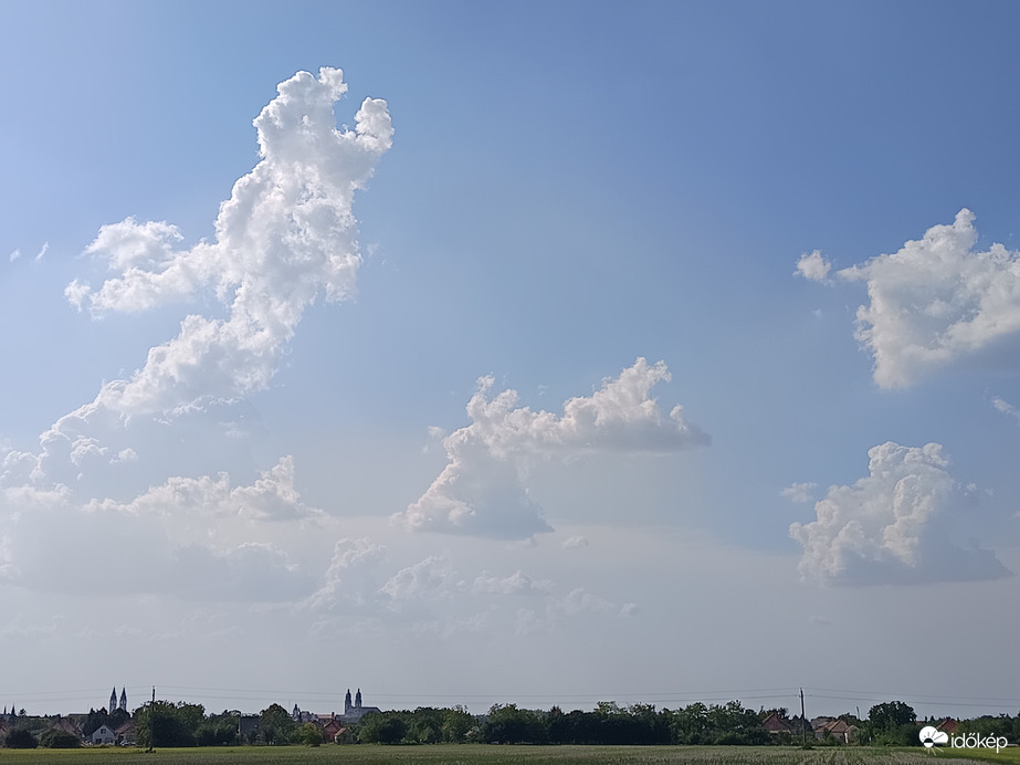 Pápa