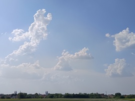 Pápa