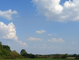 Pápa
