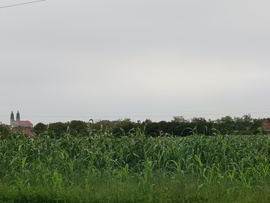 Pápa