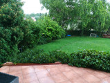 Agárd
