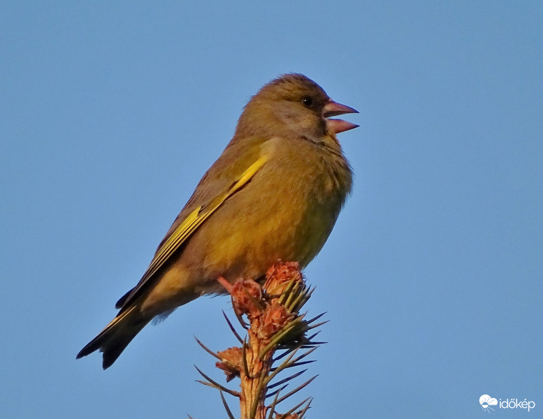 Előtte, most vagy utána?