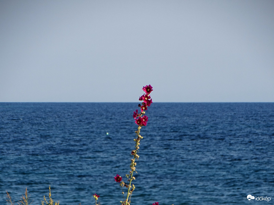 Horizont