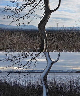 Némi arculatváltás